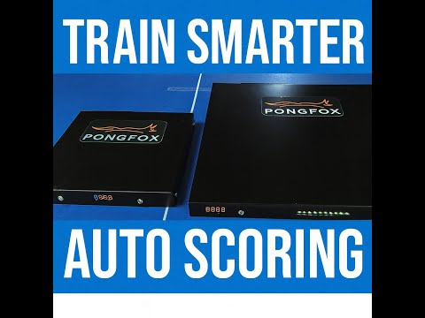 PongFox Standalone Pad